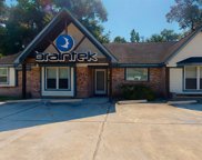 25326 Oakhurst Drive, Spring image