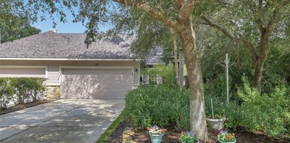 130 Truvine Place, The Woodlands