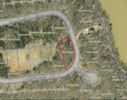 430 Terrapin Pointe, Greenwood image
