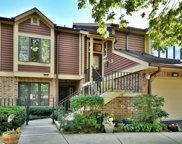 1014 Braemoor Drive, Downers Grove image