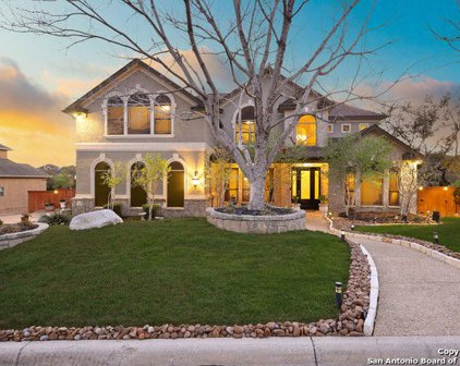 22327 Roan Frst, San Antonio