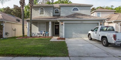 15834 Cedar Elm Terrace, Land O' Lakes