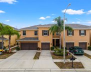 9592 Trumpet Vine Loop, Trinity image