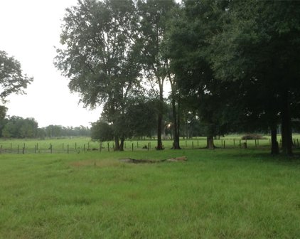 TBD Sw 179 Place, Archer