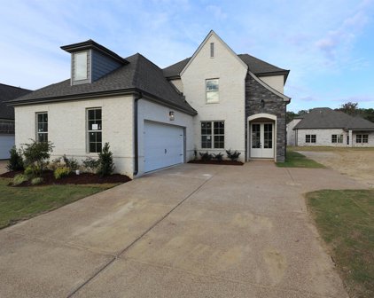 571 Beau View Way, Cordova