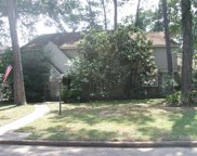 17911 Mahogany Forest Drive, Spring image
