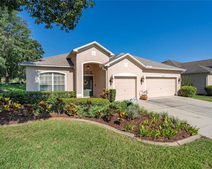 11727 Grove Arcade Drive, Riverview