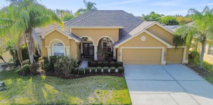 23523 Gracewood Circle, Land O' Lakes