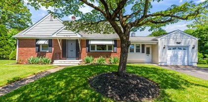 246 Youngs Rd, Hamilton