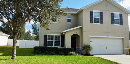 3892 Crossline Drive, Spring Hill