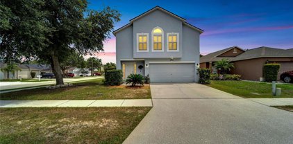 30521 Double Drive, Wesley Chapel