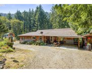 13318 HIGHWAY 36, Swisshome image