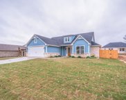116 Rose Row Ln, Winona image
