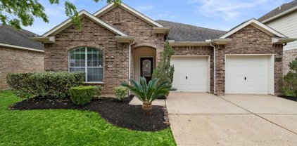 2008 Creek Run Drive, Pearland