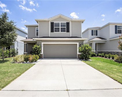 10787 Hawks Landing Drive, Land O' Lakes