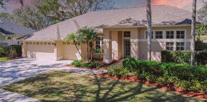 3824 Spruce Pine Drive, Valrico