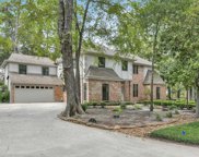 9 Coralvine Court, The Woodlands image