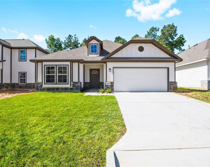 11711 Eclipse Drive, Willis