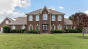 8972 Elderberry Cv, Cordova image