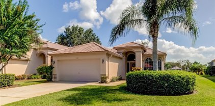 1181 Lindenwood Drive, Tarpon Springs