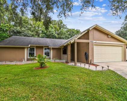 15902 Country Farm Place, Tampa