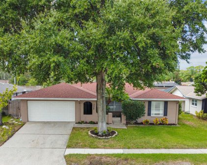 3528 Snowy Egret Court, Palm Harbor