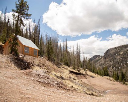 2540 Usfs 503, Creede