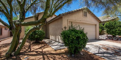 12737 N Wild Indigo, Marana