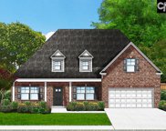 176 Collins Cove Drive, Chapin image