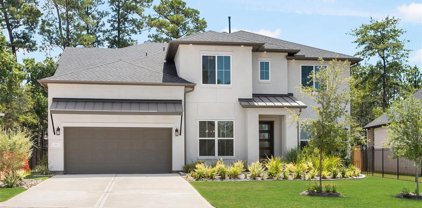 1705 Divino Pass, Conroe