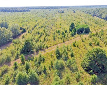 00 Highway 67, Simms