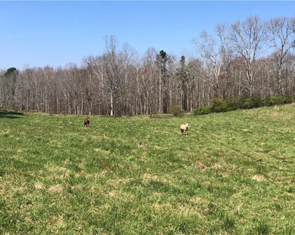 Lot 0 Eagles Perch Road, Ball Ground