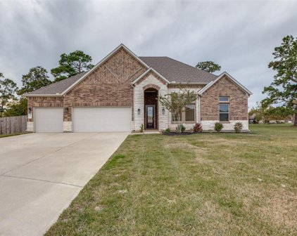 6042 Leeward Island Drive, Conroe