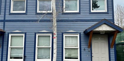 214 S Ridge  Street Unit 6, Breckenridge
