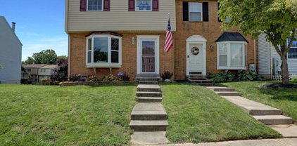 49 Chesthill Court, Baltimore