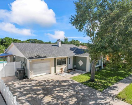 8020 Timberlane Drive, Tampa