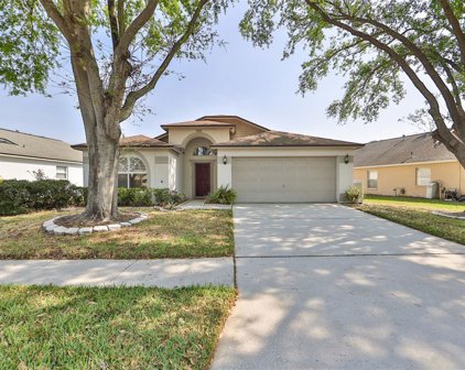 2321 Cattleman Drive, Brandon