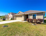 30755 Water Lily Drive, Brooksville image