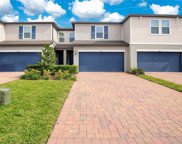 2561 Red Spruce Way, Ocoee image