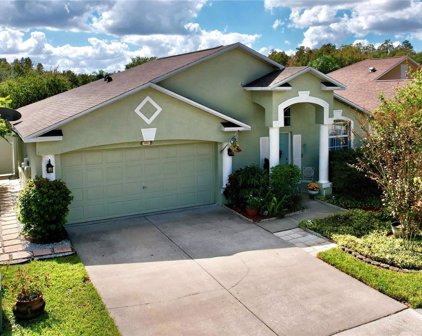 25237 Seven Rivers Circle, Land O' Lakes