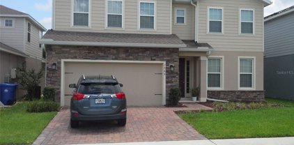 1565 Dusty Pine Drive, Apopka