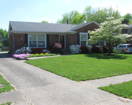 9206 Auburn Ave, Jeffersontown