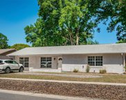 1208 Cedar Tree Lane, Seffner image
