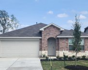 21390 Owl Road, New Caney image