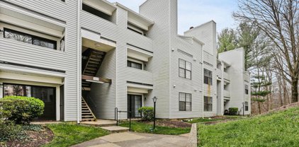 1641 Carriage House Ter Unit #1641-A, Silver Spring