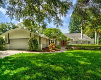 1240 Eniswood Parkway, Palm Harbor