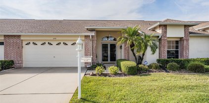1041 Flora Vista Street, Trinity