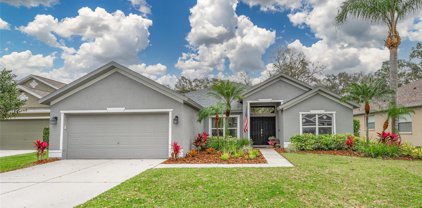 5910 Tealwater Place, Lithia