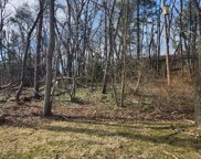 V/L Pinetum, Brighton Twp image