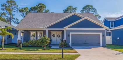 199 Bengal Circle, Oldsmar